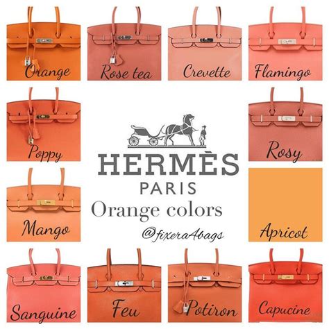 hermes birkin colors list|hermes colors worth money.